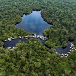 Une vue satellitaire du Couloir vert Kivu-Kinshasa.