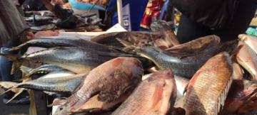 Vente poissons au Marché