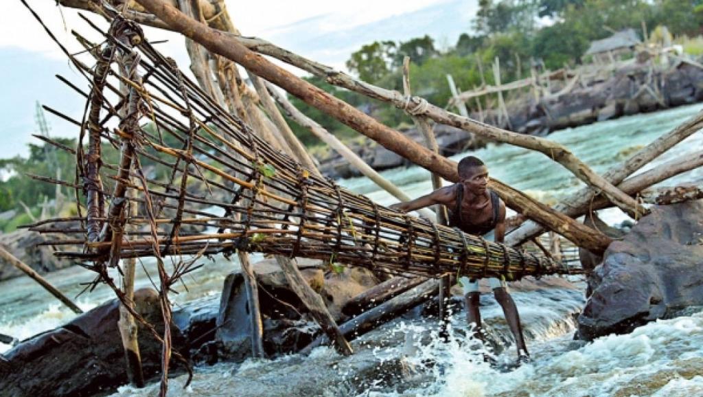 Pêche dans le fleuve Congo. Ph. Droits tiers. 