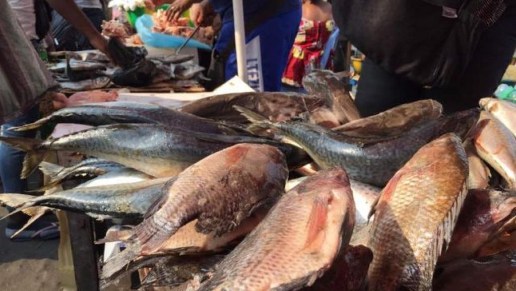 Vente poissons au Marché