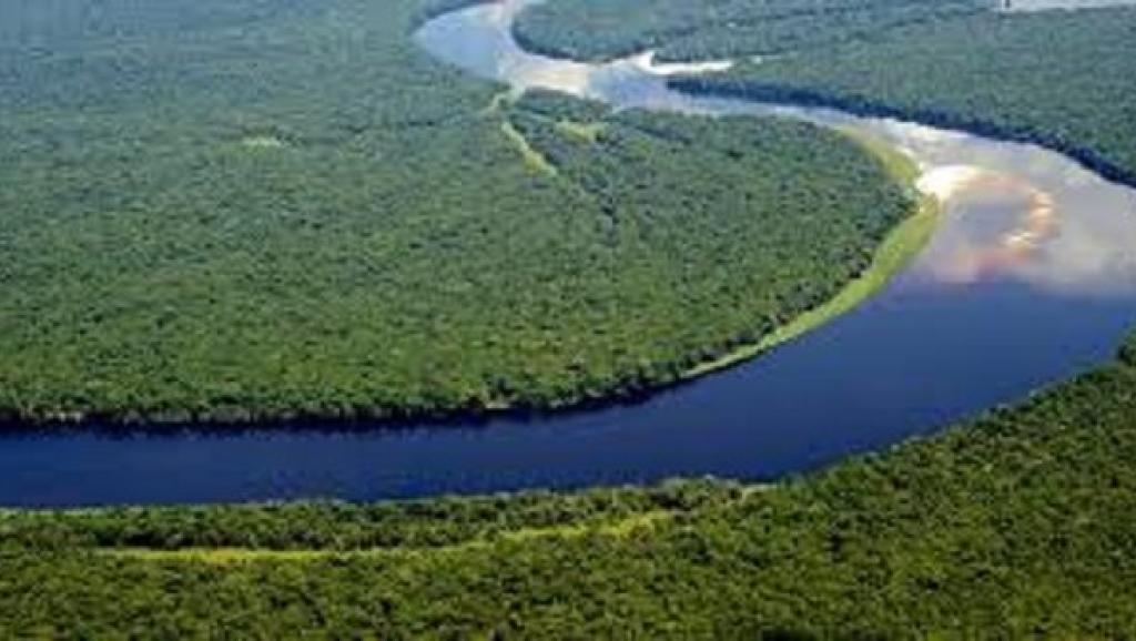 Une vue du Bassin du Congo, deuxième poumon écologique du monde