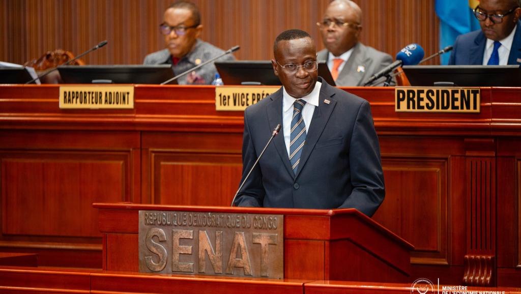 Mukoko Samba, ministre congolais de l'économie nationale 