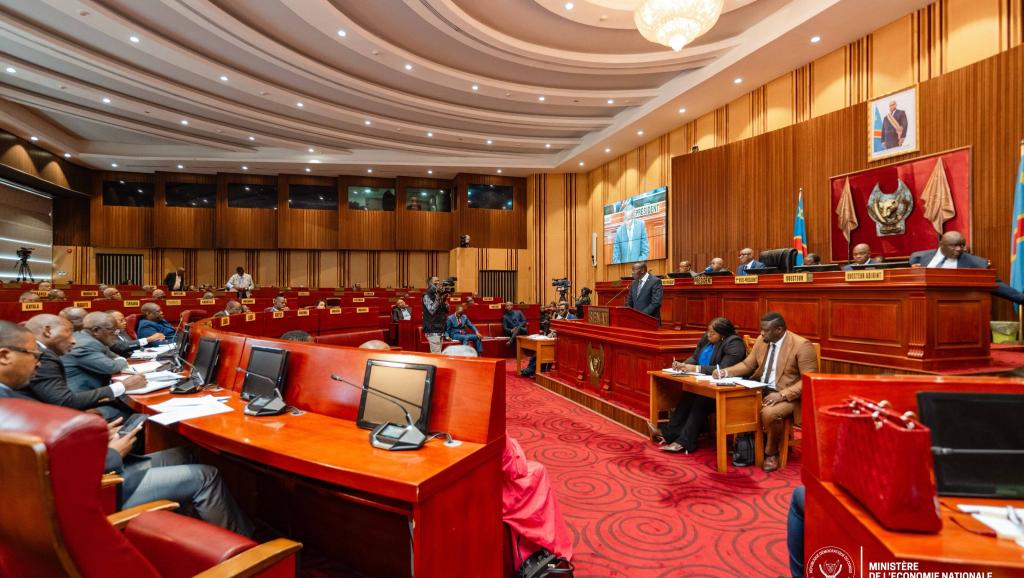 plénière  au sénat 