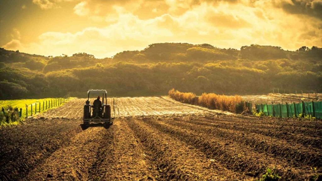 Parc agro-industriel