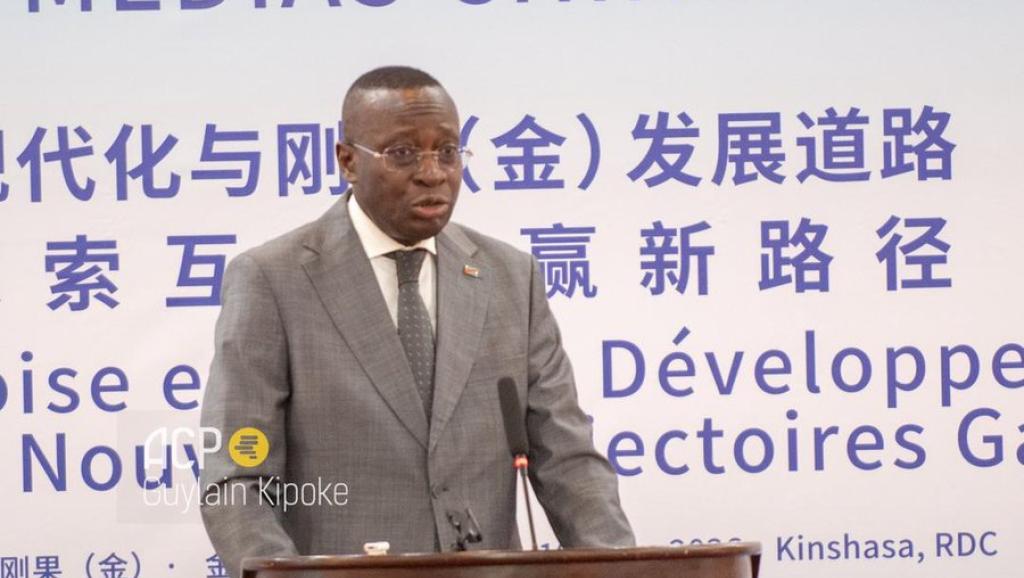 Mukoko Samba, ministre congolais de l'économie nationale 