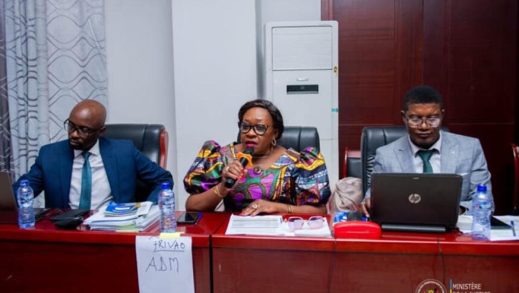 Les responsables de FRIVAO en atelier à Kinshasa.