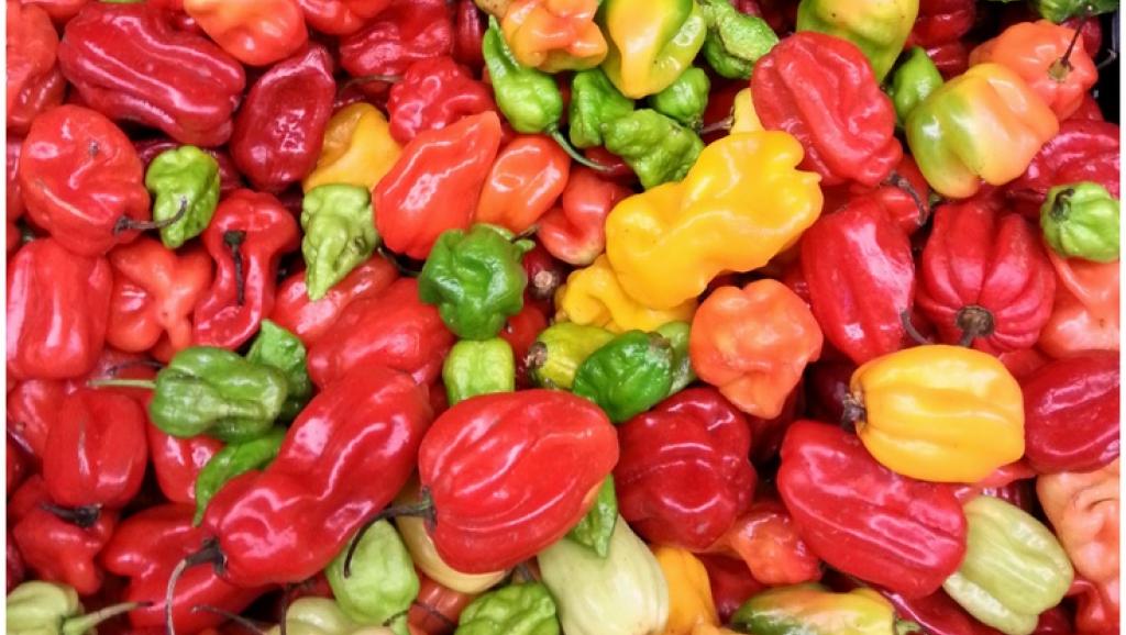 Piments rouges.
