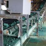exploitation du cobalt