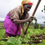 Agriculture