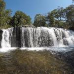 chute 