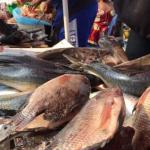 Poisson
