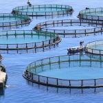 L'aquaculture 