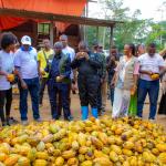 Le ministre Mohindo Nzangi lors du lancement de la campagne agricole dans la province de Tshopo, devant une culture de cacao