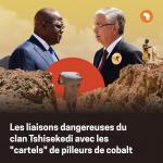 l'affriche de l'enquête de l'Africa Intelligence sur le pillage de cobalt