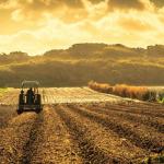 Parc agro-industriel