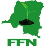 FFN