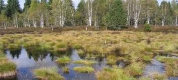 Tourbières 