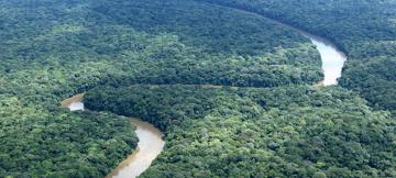 Couloir vert Kivu-Kinshasa.