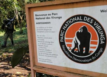 Parc national de Virunga. Ph. Droits tiers.