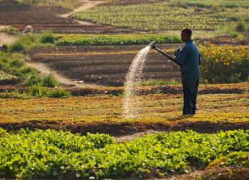 Agriculture paysanne