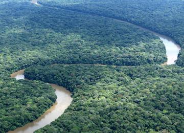 Bassin du Congo