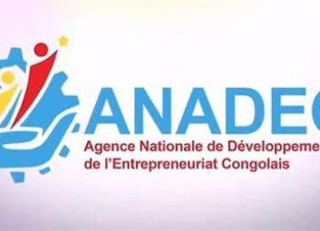 Anadec. Logo