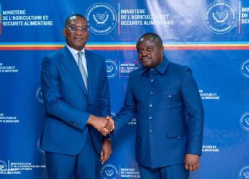 Photo d'illustration 