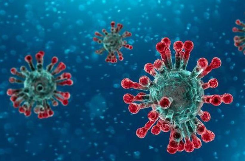 Coronavirus 