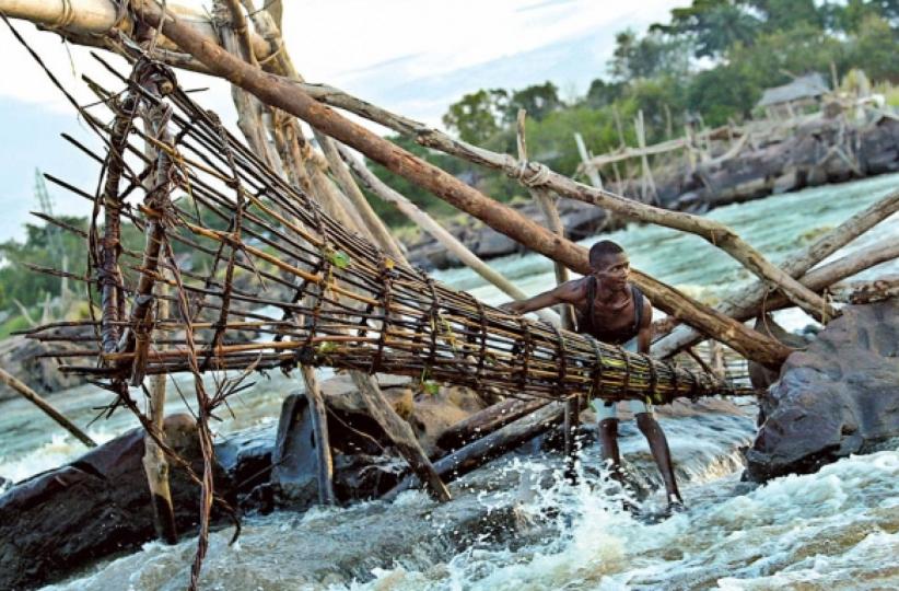 Pêche dans le fleuve Congo. Ph. Droits tiers. 