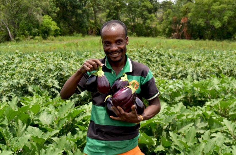 Un agriculteur assisté par MMG