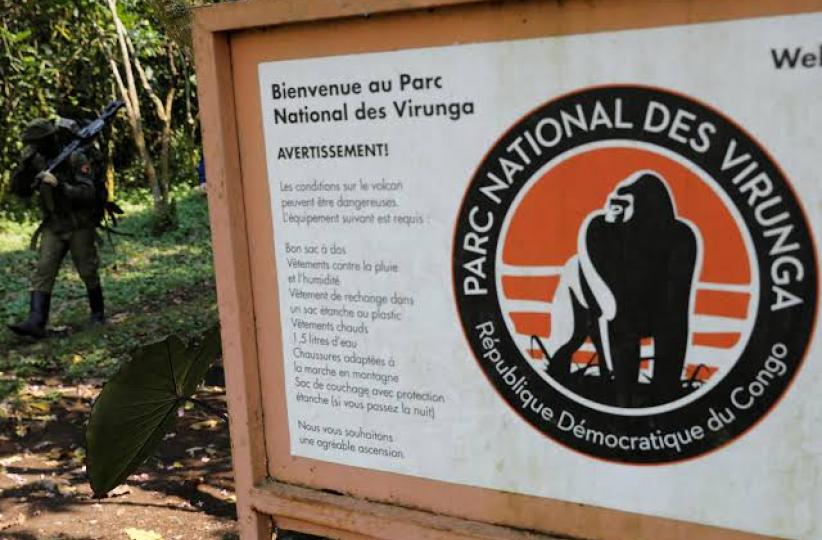 Parc national de Virunga. Ph. Droits tiers.
