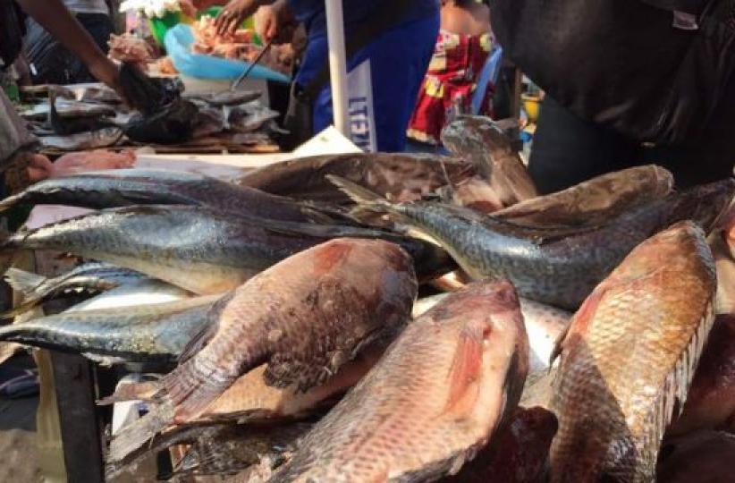 Vente poissons au Marché
