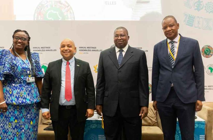 Membres du panel sur l'efficacité fiscale pour la mobilisation des ressources domestiques en Afrique