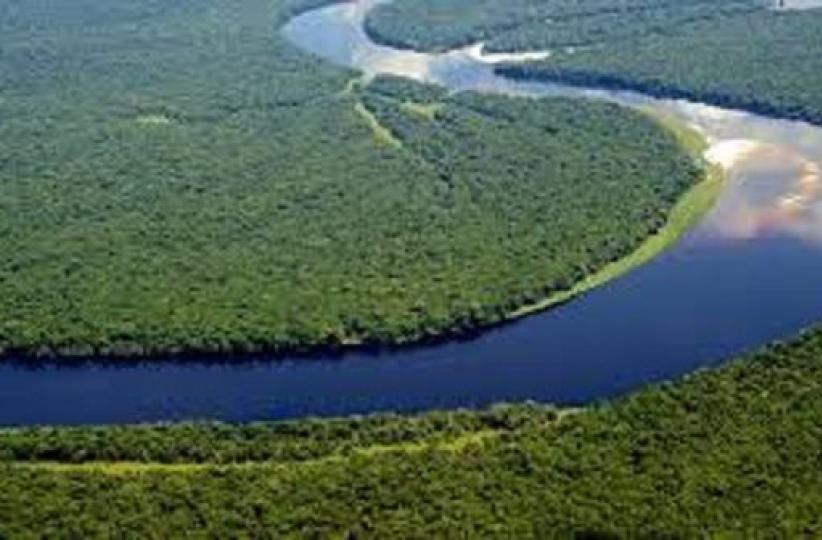 Une vue du Bassin du Congo, deuxième poumon écologique du monde