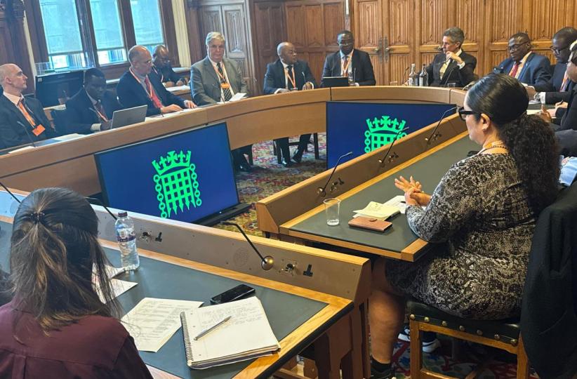 Julien Paluku devant le parlement britannique  à Londres 