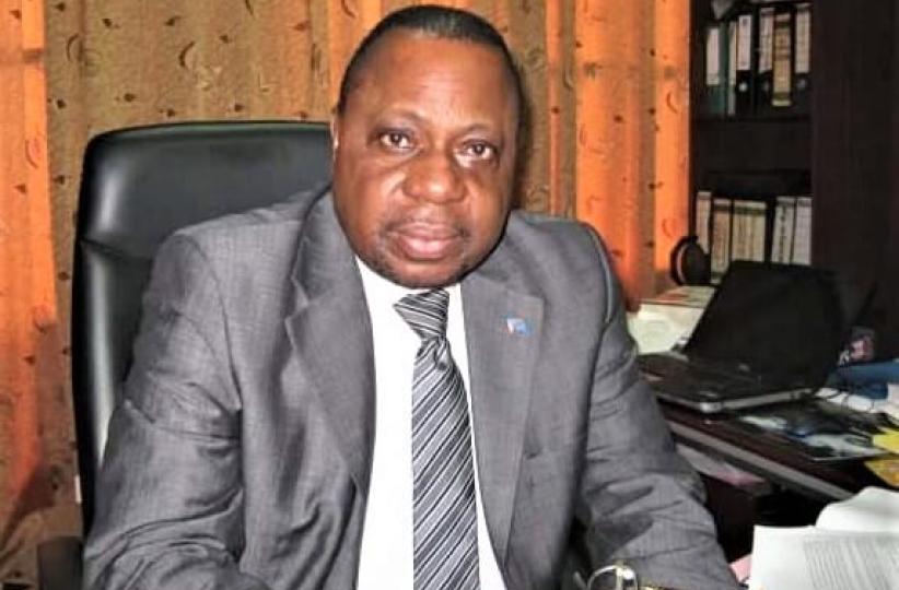 Léonide Mupepele, expert minier 