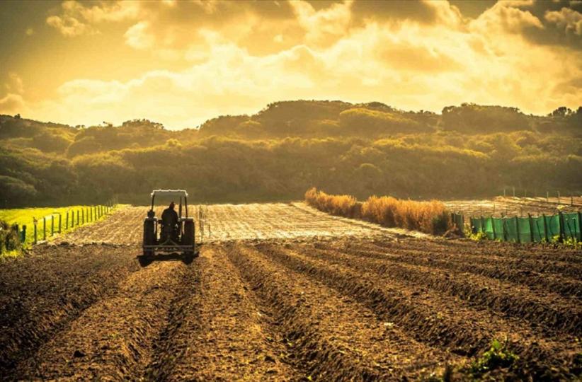 Parc agro-industriel