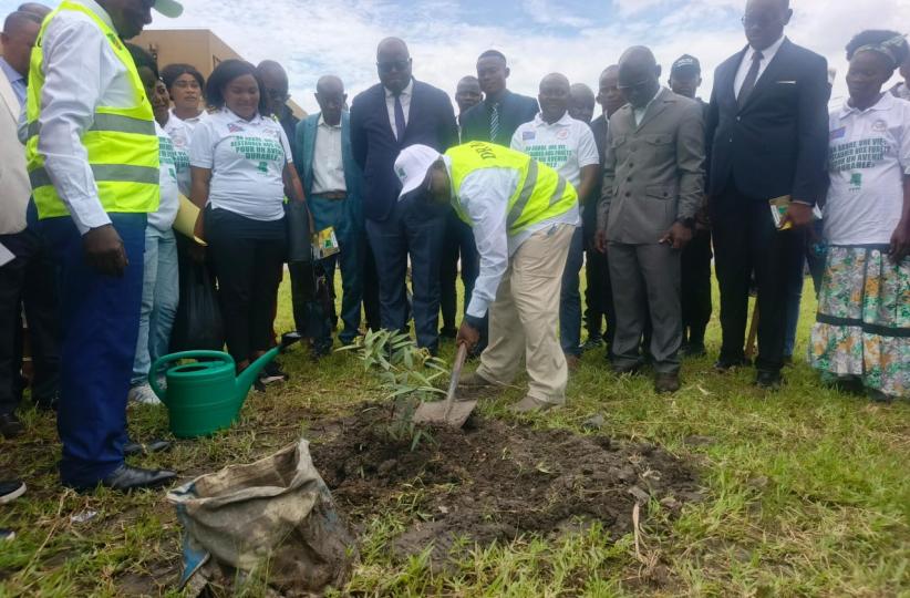 Plantation d'un arbre à l'INA