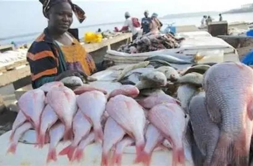 Photo d'illustration 