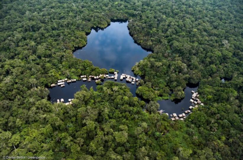 Une vue satellitaire du Couloir vert Kivu-Kinshasa.